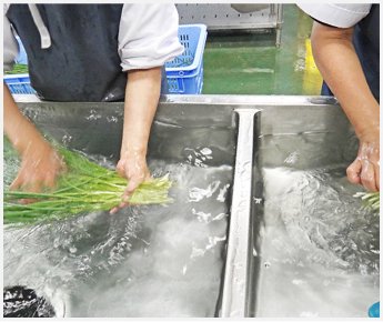 野菜を手洗いしている写真