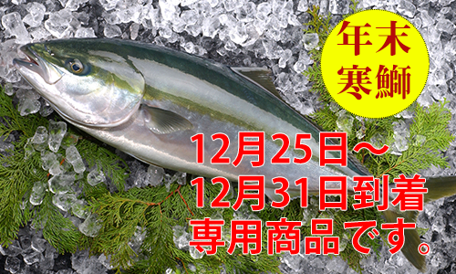 九州の天然寒ブリ／11月から2月限定販売 | 魚のプロ「おぎはら鮮魚店」通販ー福岡・博多で130年