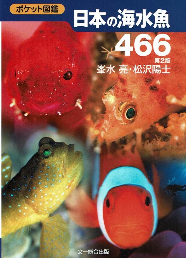 ポケット図鑑 日本の海水魚466 第2版 うみねこ通販