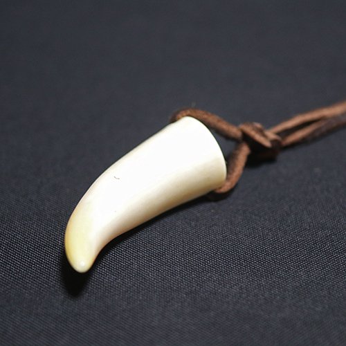 火 開発する 四回 鯨 の 歯 ネックレス - moritoseseragi.net