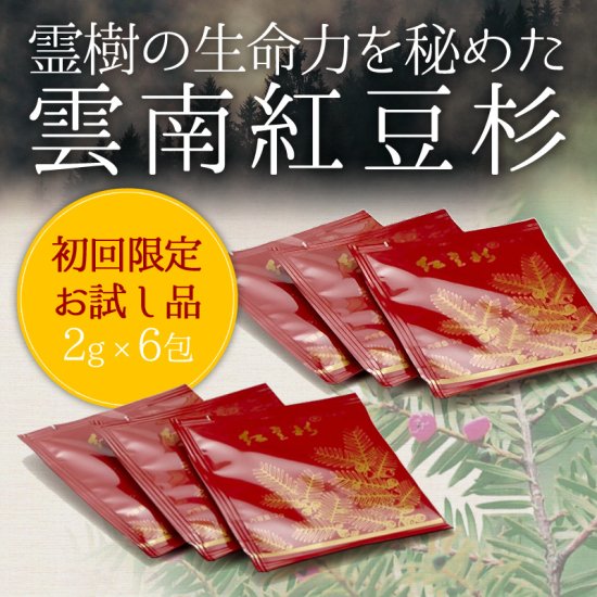 紅豆杉茶（こうとうすぎちゃ） お試し品　【内容量：2g×6包】/漢方　健康食品