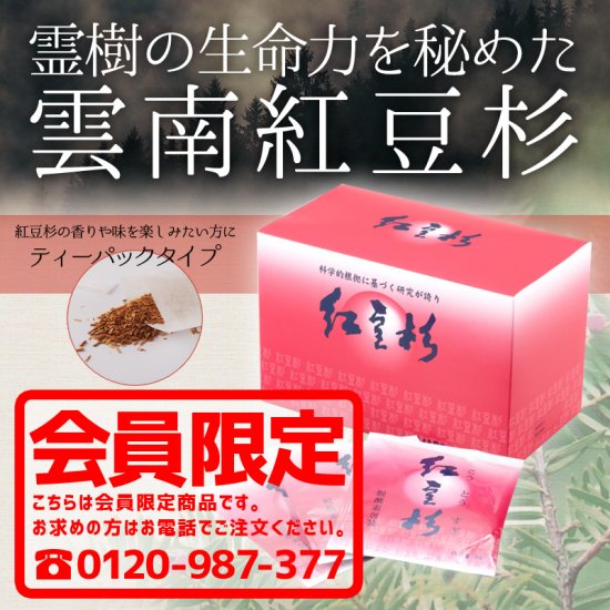 紅豆杉茶（こうとうすぎちゃ）5g×30包入/漢方 健康食品