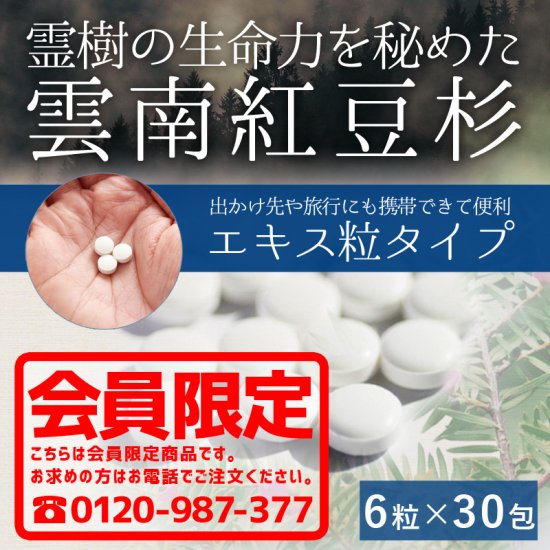 エキス粒（小）30袋入【会員限定商品】（錠剤タイプ）/漢方 健康食品