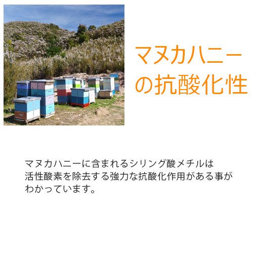 フラッペ 天然三六五 ペット用歯磨きジェル 歯にマヌカ 30g ペット 犬 猫 歯みがき 口腔 ケア お手入れ マヌカハニー 犬猫用療法食 観賞魚の専門通販 ペットのいる暮らしのお店 ペット家族