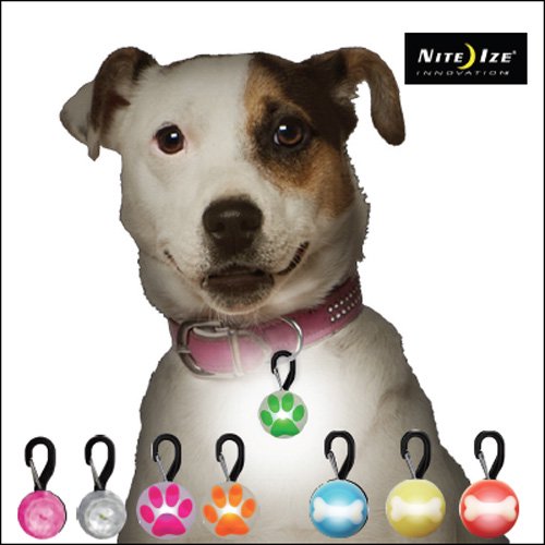 Nite Ize ペットリット 全8種 プラッツ 犬猫用療法食 観賞魚の専門通販 ペットのいる暮らしのお店 ペット家族