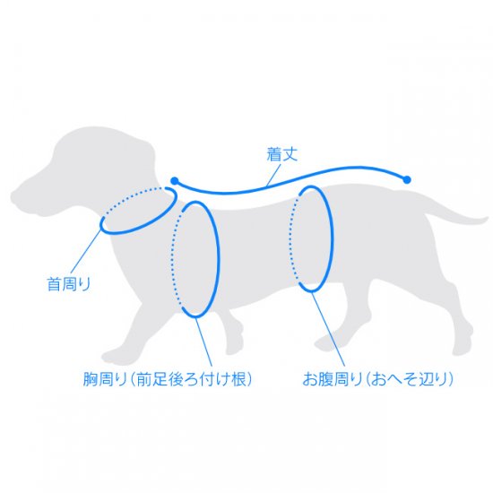 メール便配送可 術後服 エリザベスウエア 男の子用 女の子用 ダックス 小型犬用 すとろーはうす 正規品 犬猫用療法食 観賞魚の専門通販 ペットのいる暮らしのお店 ペット家族