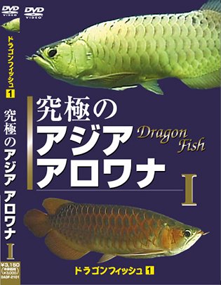 Dvd 究極の アジア アロワナ ドラゴン フィッシュ Dadf 2101