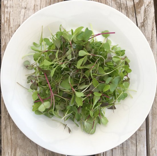 サラダミックス マイクロリーフ ミー Me Babygreens Edible Flowers