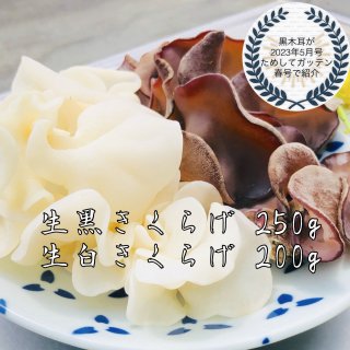 生 セット 黒きくらげ 300g 白いきくらげ0g 合計500g 高知県産 仁淀川きくらげ ショッピングサイト