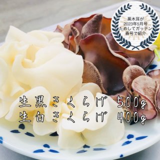 生 白黒セット 黒きくらげ 500g 白いきくらげ500g 合計1kg 高知県産 仁淀川きくらげ ショッピングサイト