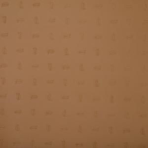 ֥ॽ #7373 Cappuccino