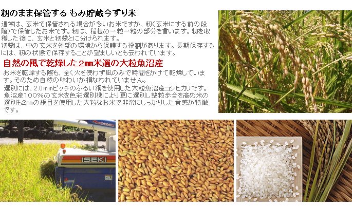 籾のまま保管する　もみ貯蔵今ずり米