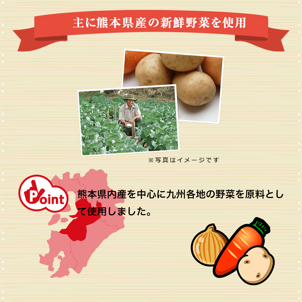主に熊本県産の新鮮野菜を使用