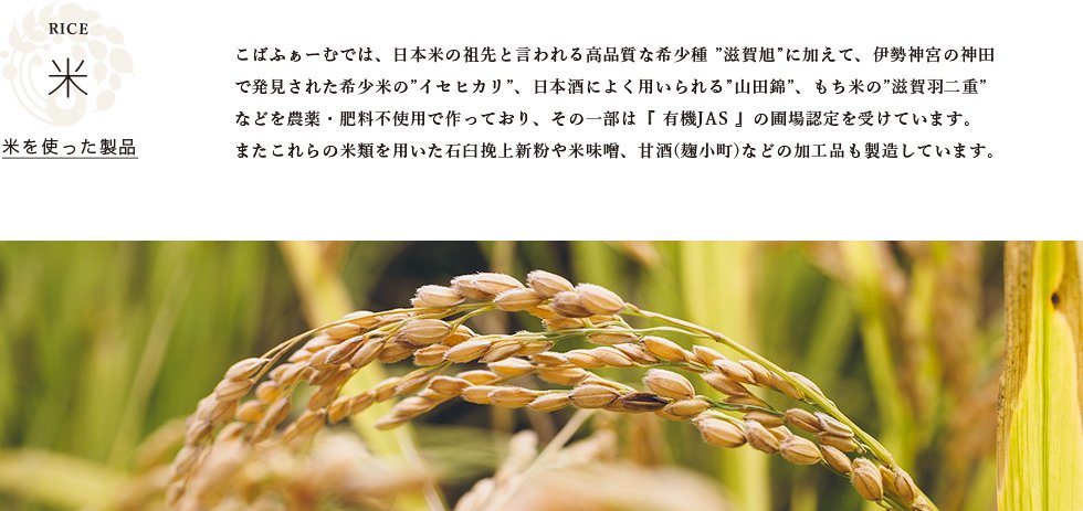 こばふぁーむでは、日本米の祖先と言われる高品質な希少種 滋賀旭に加えて、伊勢神宮の神田で発見された希少米のイセヒカリ、日本酒によく用いられる山田錦、もち米の滋賀羽二重などを農薬・肥料不使用で作っており、その一部は『 有機JAS 』の圃場認定を受けています。またこれらの米類を用いた石臼挽上新粉や米味噌、甘酒(麹小町)などの加工品も製造しています。