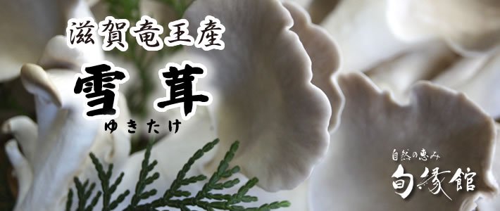 滋賀県竜王町産のキノコ　雪茸（ゆきたけ）
