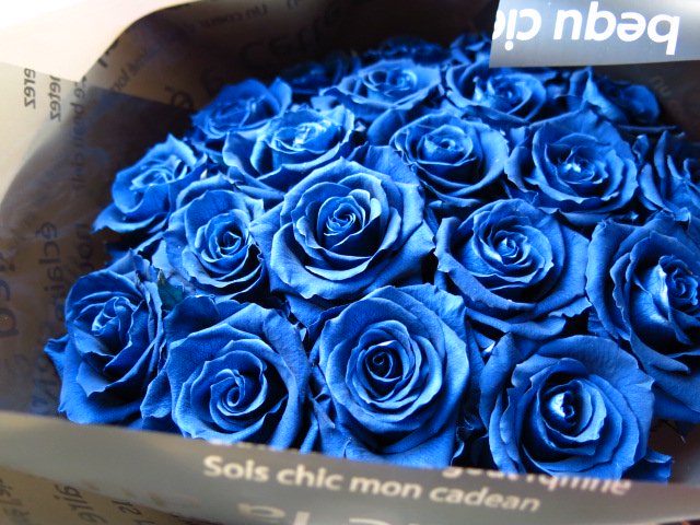 青バラ 花束 プリザーブドフラワー バラいっぱいの プリザーブドフラワー