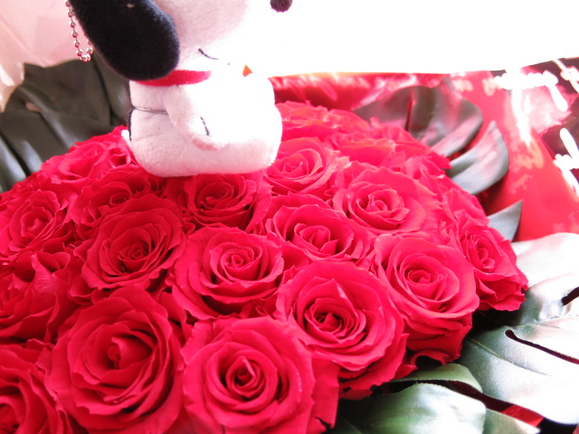 プリザーブドフラワー 花束 スヌーピー入り 赤バラ プロポーズ 結婚祝い 還暦祝い