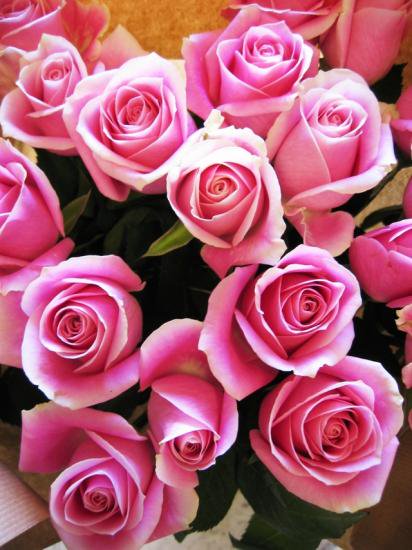誕生日にプレゼント ピンク バラ入り花束
