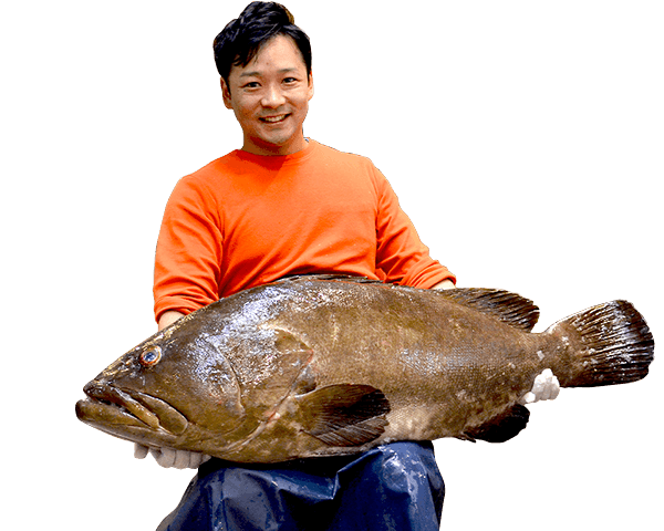 通販で九州の天然クエ アラ をお取り寄せ 魚のプロ おぎはら鮮魚店 通販ー福岡 博多で130年