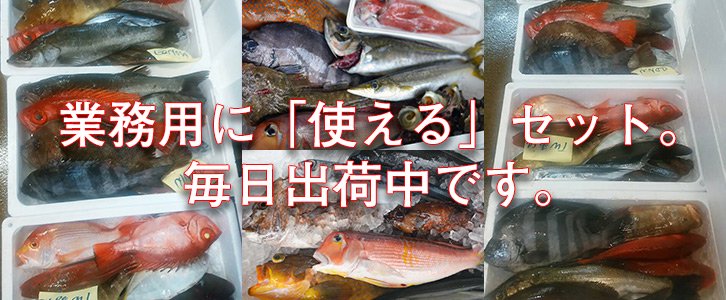 九州の天然魚、業務用セット