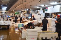 長浜鮮魚市場