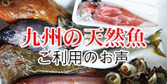 九州の鮮魚セット