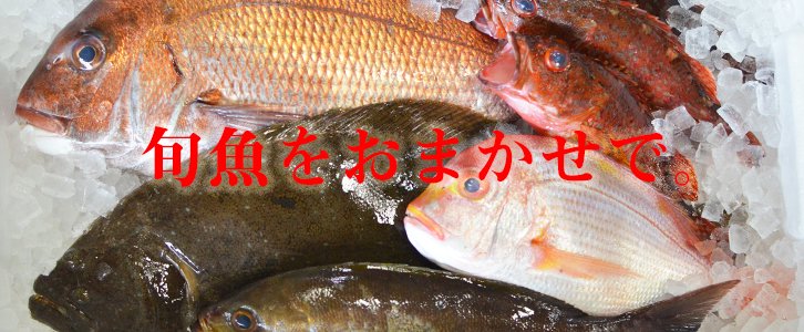九州の鮮魚通販セット