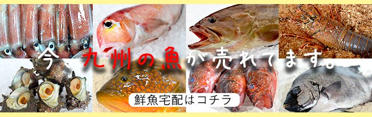 九州の鮮魚通販