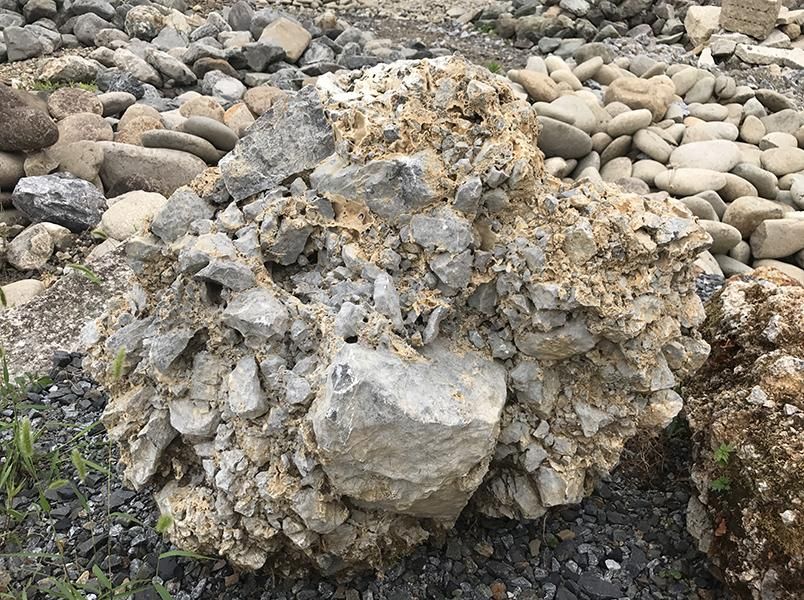 「君が代」に出てくるさざれ石とは? その関係や場所についてご紹介!