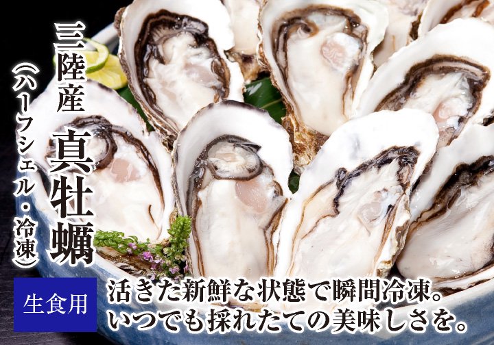 	【生食用】三陸産 真牡蠣「新昌」（ハーフシェル・冷凍）