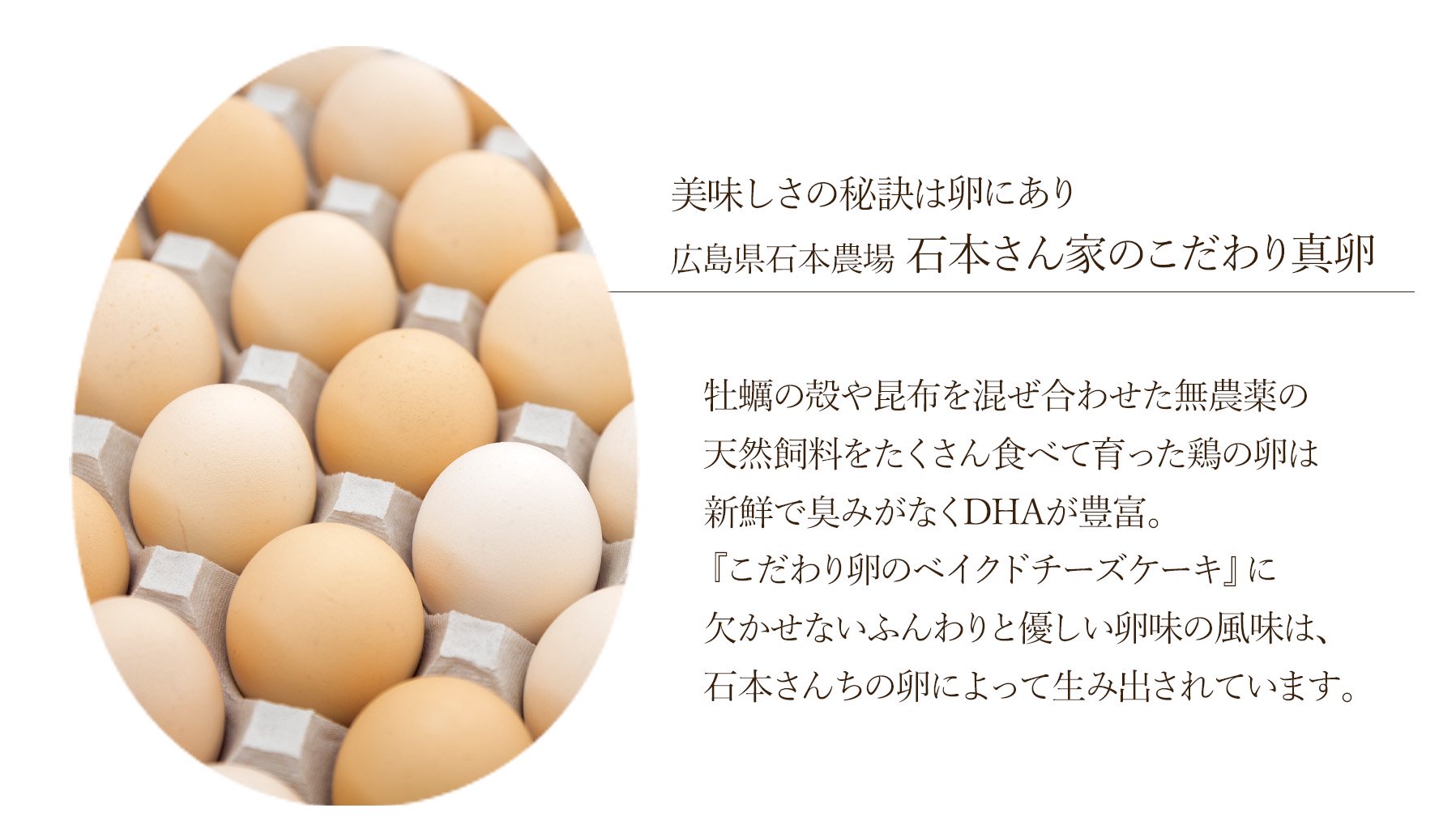 牡蠣の殻や昆布を混ぜ合わせた無農薬の天然飼料をたくさん食べて育った鶏の卵は新鮮で臭みがなくDHAが豊富。『こだわり卵のベイクドチーズケーキ』に欠かせないふんわりと優しい卵味の風味は、石本さんちの卵によって生み出されています。