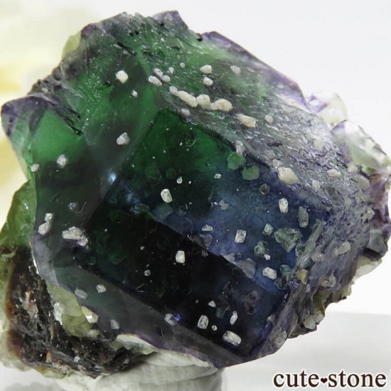 ナミビア エロンゴ産 トリカラーフローライトの原石 17.3g - cute stone -