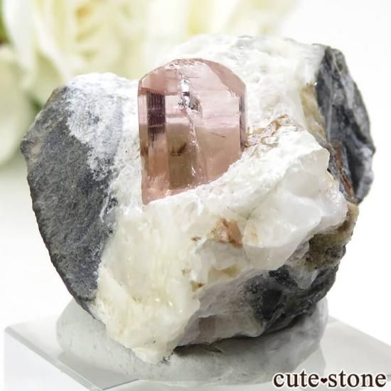 パキスタン カットラン産 ピンクトパーズ (インペリアルトパーズ)の母岩付き結晶 (原石) - cute stone -