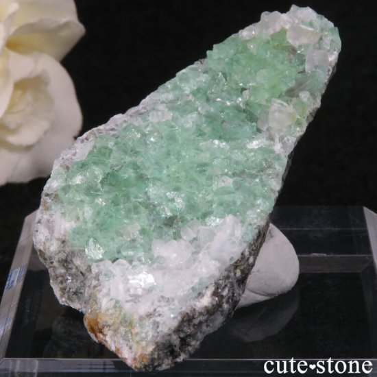スペイン産グリーンフローライトの母岩付き結晶（原石）30g - cute stone -