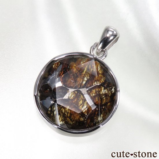 ケニア産パラサイト隕石のペンダントトップ - cute stone -