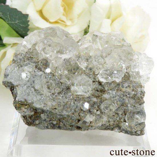 ロシア ダルネゴルスク産 カラーレスフローライトの母岩付き結晶(原石