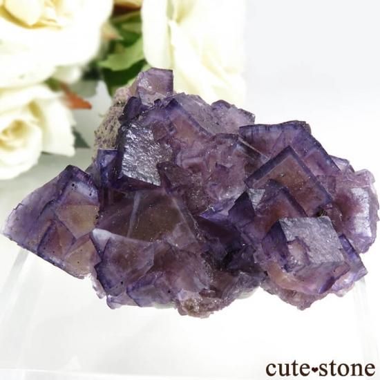 イリノイ州 Cave-in-Rock産 パープル×イエローフローライト（蛍石）の母岩付き結晶（原石） 57g - cute stone -