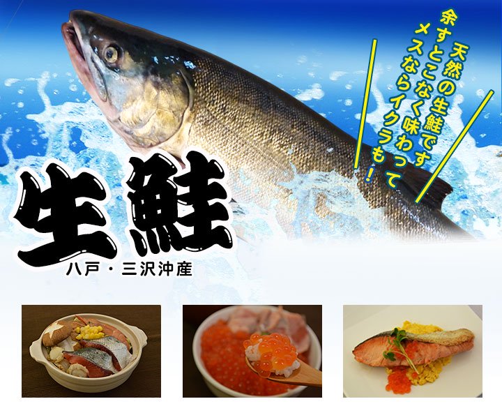 八戸〜三沢沖の定置網漁で水揚げされた天然の生鮭です