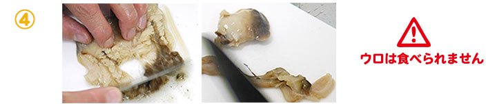 ホッキ貝の剥き方