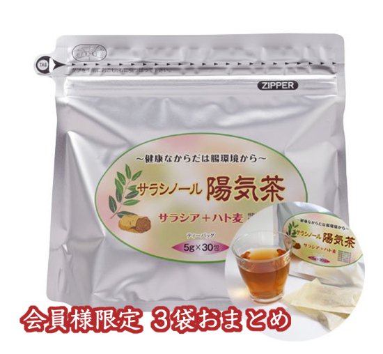 サラシノール 陽気茶 お得用 樺のあな茸 アタシオン