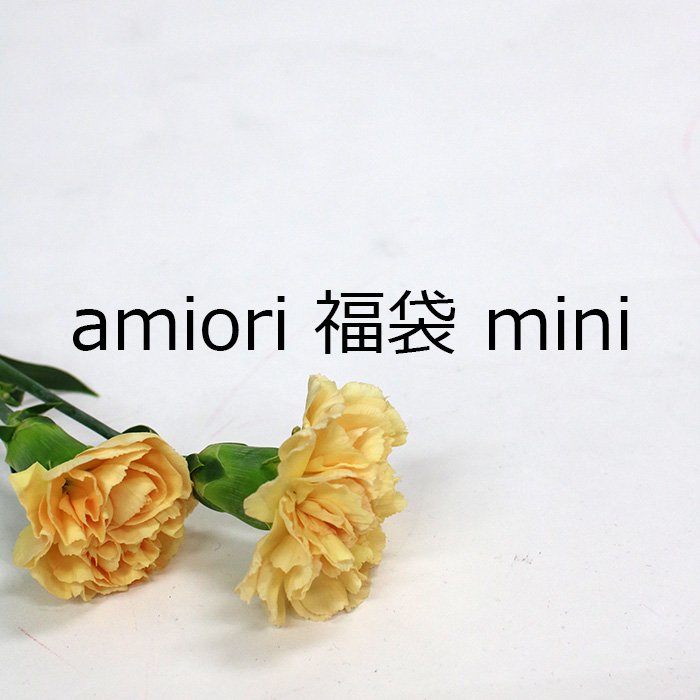 amiori福袋mini