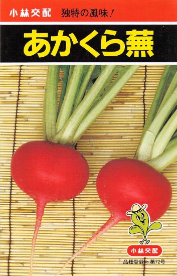 赤カブの種 あかくらカブ F1 種の専門店 松尾農園 オンラインショップ