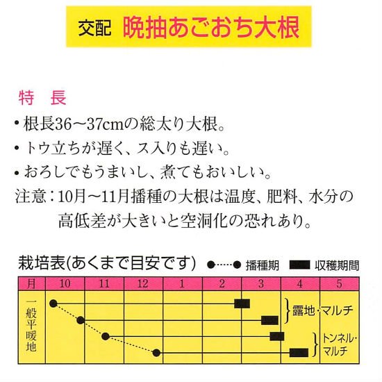 ダイコンの種 晩抽あごおち大根 F1 種の専門店 松尾農園 オンラインショップ