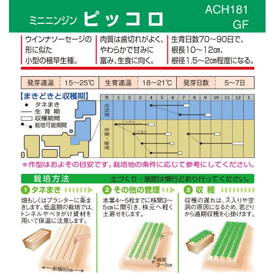 ミニニンジンの種 ピッコロ 固定種 種の専門店 松尾農園 オンラインショップ