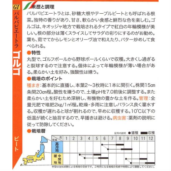 ビーツの種 ゴルゴ 固定種 種の専門店 松尾農園 オンラインショップ