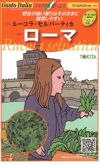 ワイルドルッコラの種 ローマ 固定種 種の専門店 松尾農園 オンラインショップ