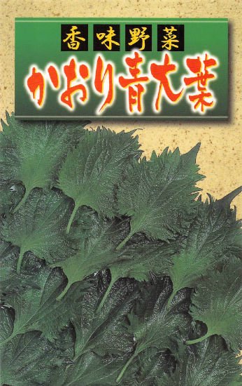 シソの種 かおり青大葉 固定種 種の専門店 松尾農園 オンラインショップ