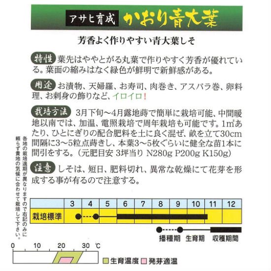 シソの種 かおり青大葉 固定種 種の専門店 松尾農園 オンラインショップ