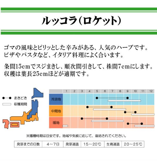 ルッコラの種 オデッセイ 固定種 種の専門店 松尾農園 オンラインショップ