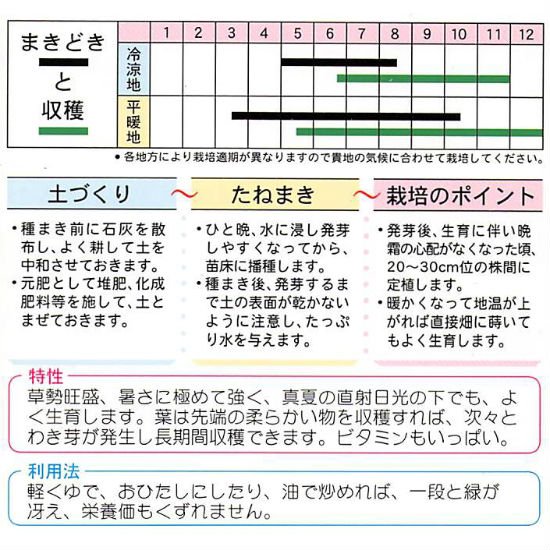 エンサイの種 固定種 種の専門店 松尾農園 オンラインショップ